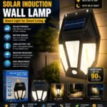 SOLAR INDUCTION WALL LAMP
