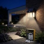 Solar Induction Wall Light BK888